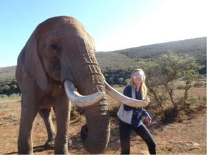 safari in South Africa