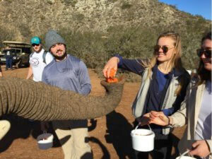 safari in South Africa