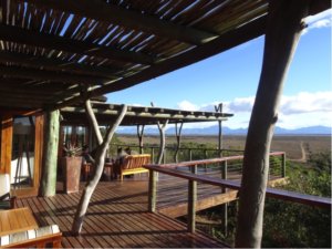 safari in South Africa