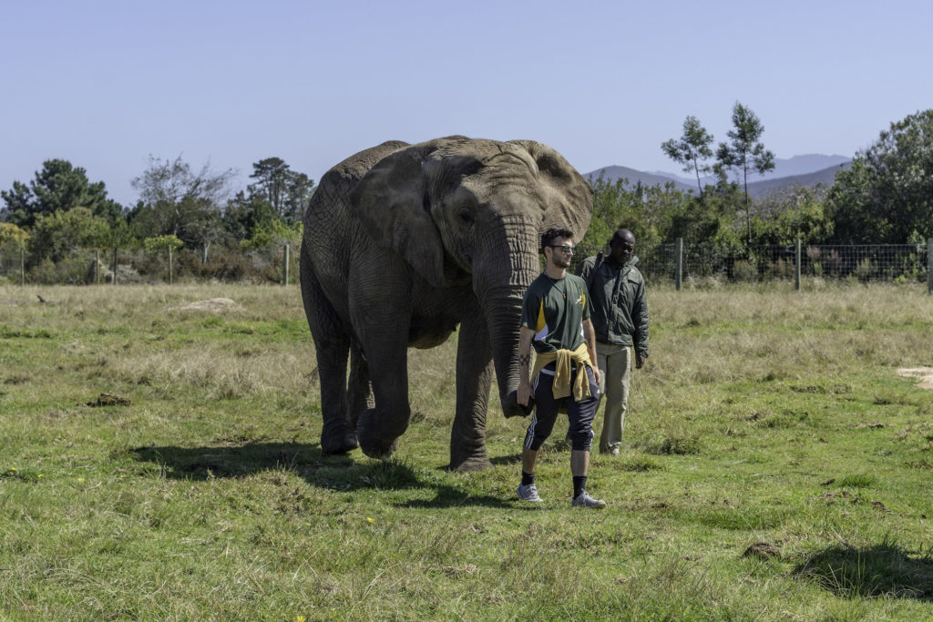 Safari and Elephant experience in South Africa