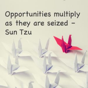 Opportunities multiple as they are seized